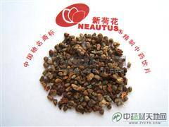 草豆蔻 傳統藥材的現代應用與市場洞察