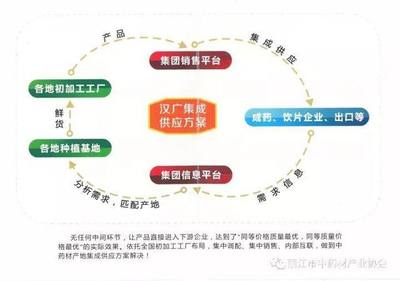漢廣得瑞啟新程，麗江基地助騰飛——得一集團中藥飲片板塊再添強勁新翼